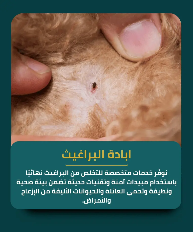 ابادة البراغيث