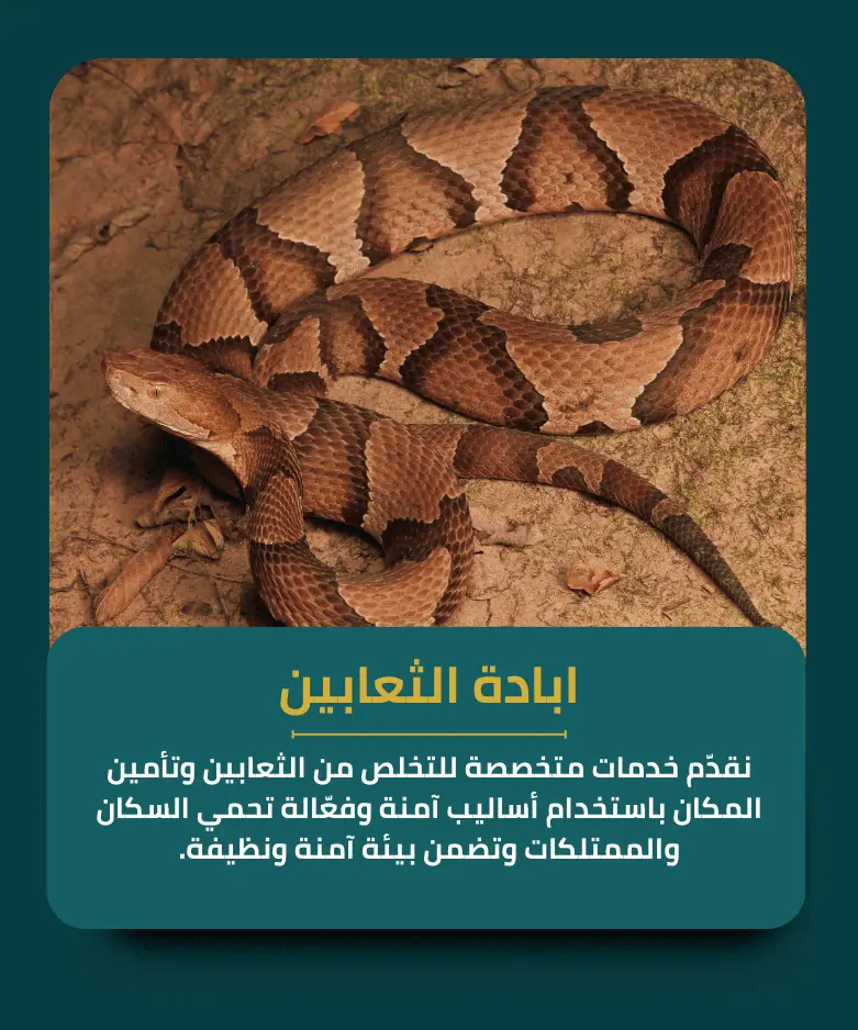 ابادة الثعابين