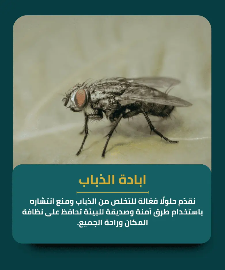 ابادة الذباب