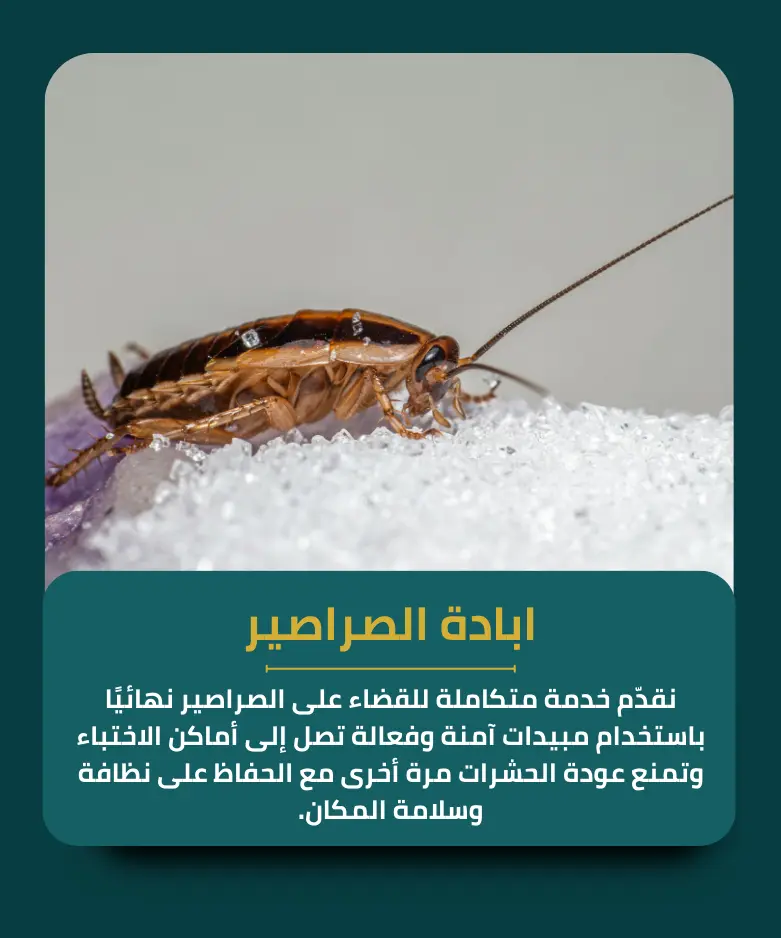 ابادة الصراصير