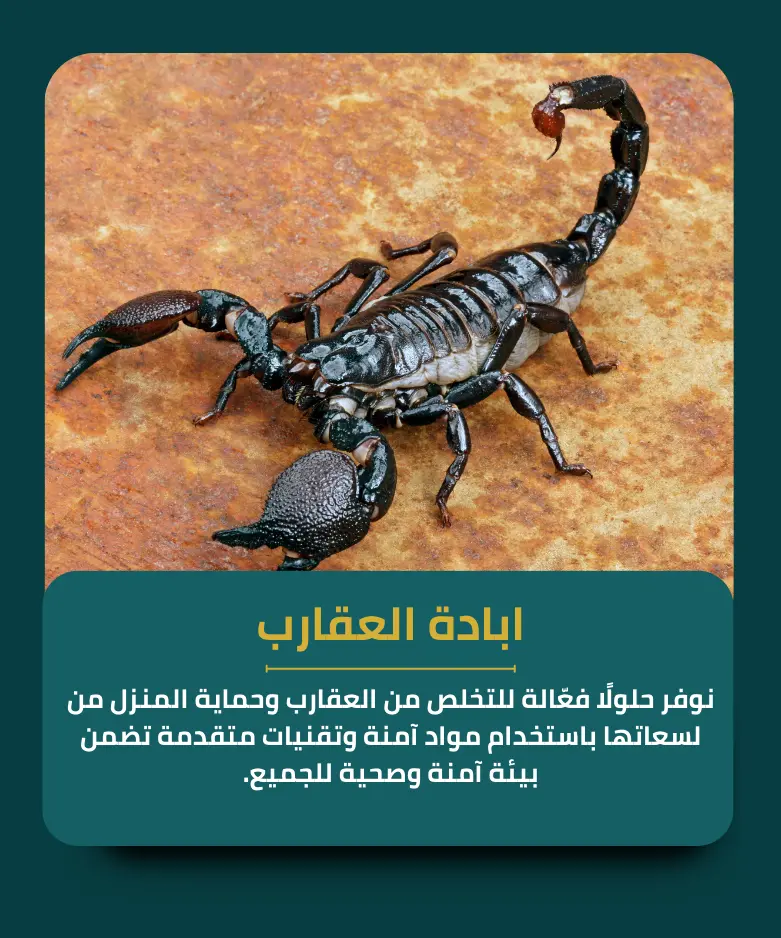 ابادة العقارب