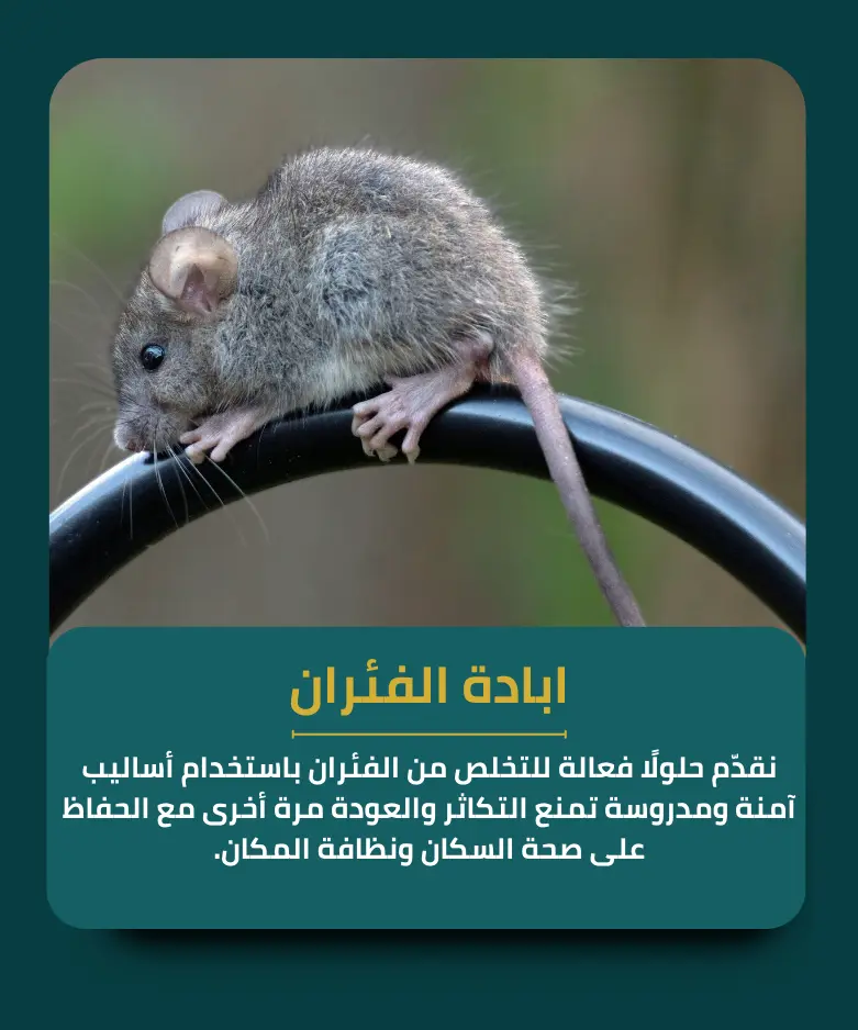 ابادة الفئران