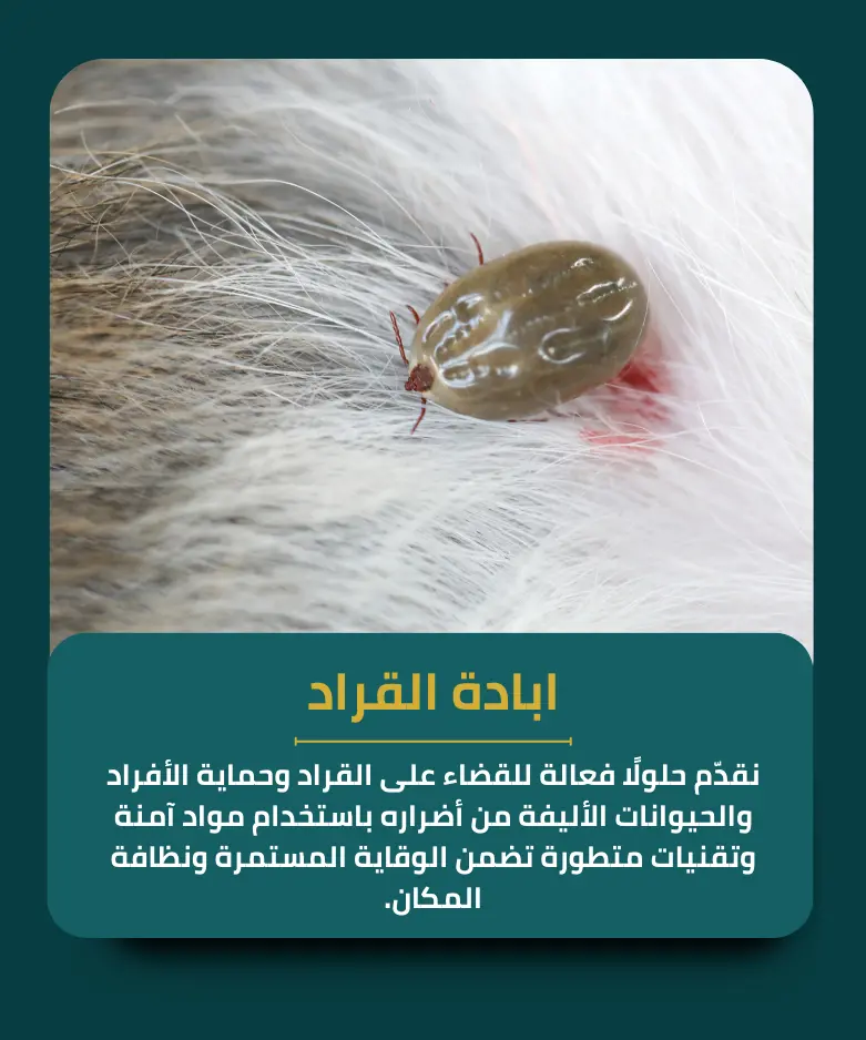 ابادة القراد