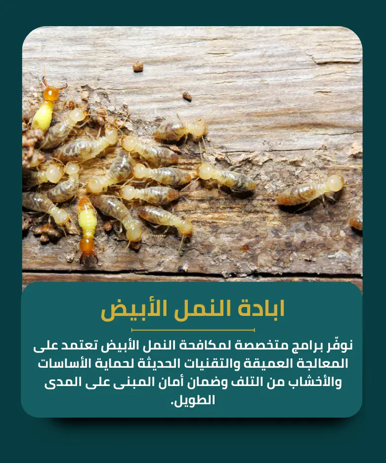 ابادة النمل الأبيض