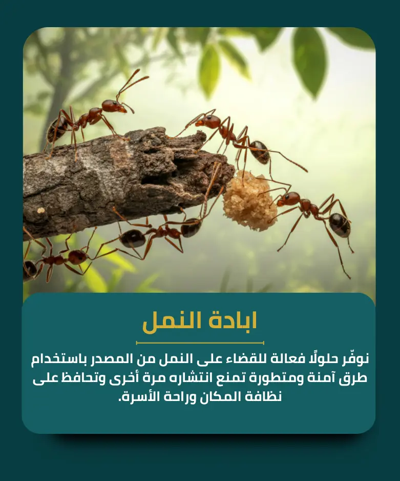 ابادة النمل