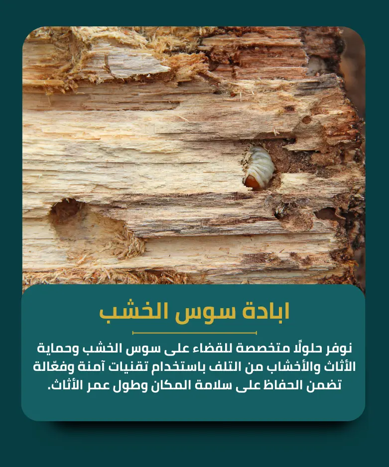 ابادة سوس الخشب