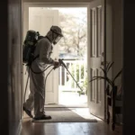 شركة مكافحة حشرات في الهرم