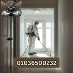 شركة مكافحة حشرات في المقطم