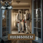 شركة مكافحة حشرات في حلوان